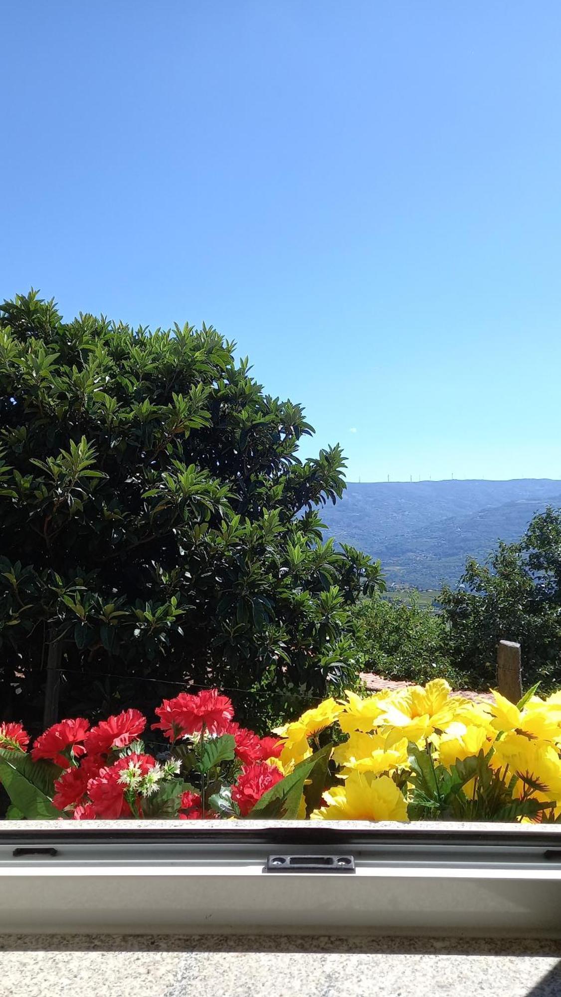 Penzion Quinta Da Casa Grande Pinheiro Baião Exteriér fotografie