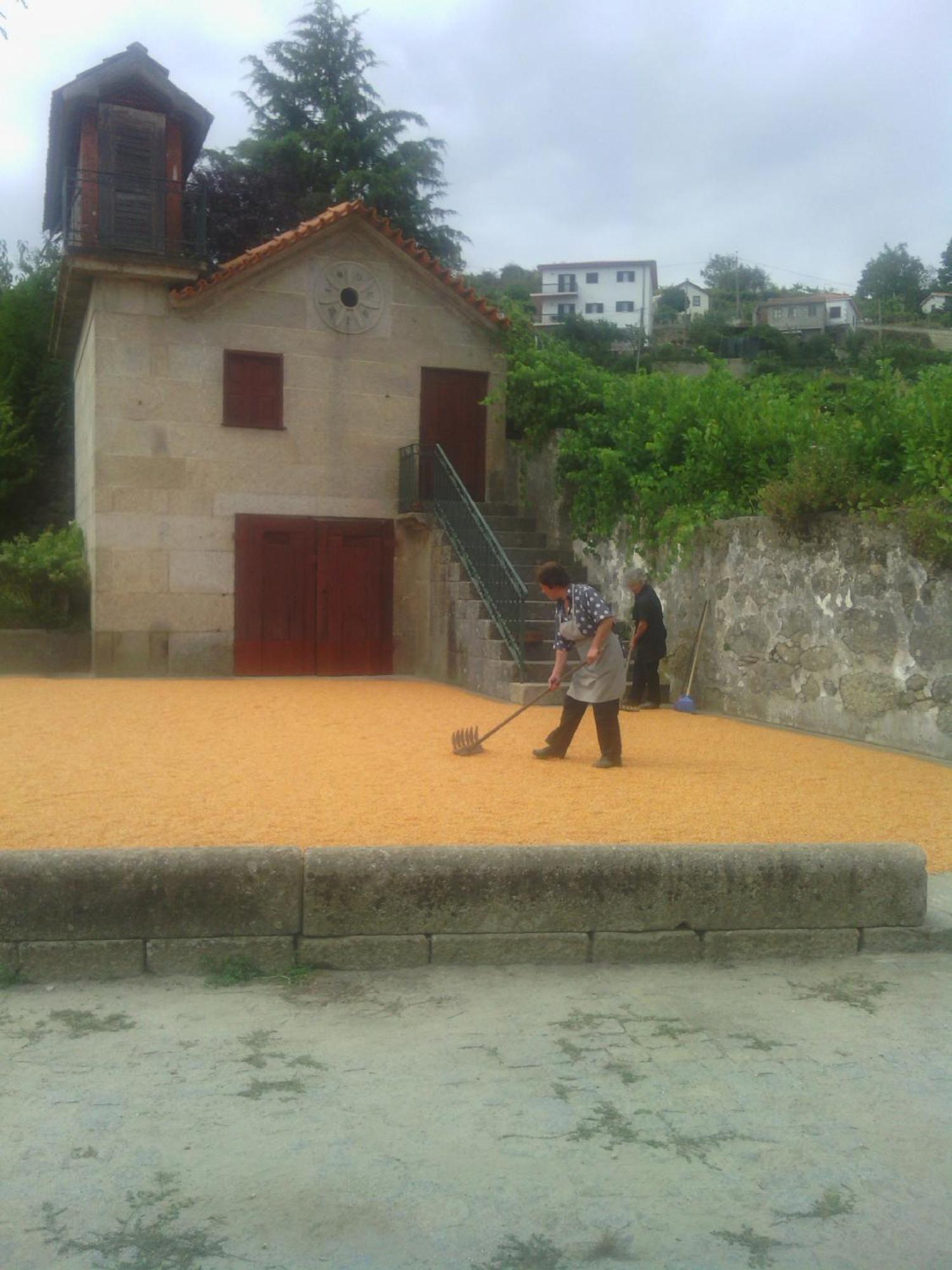 Penzion Quinta Da Casa Grande Pinheiro Baião Exteriér fotografie