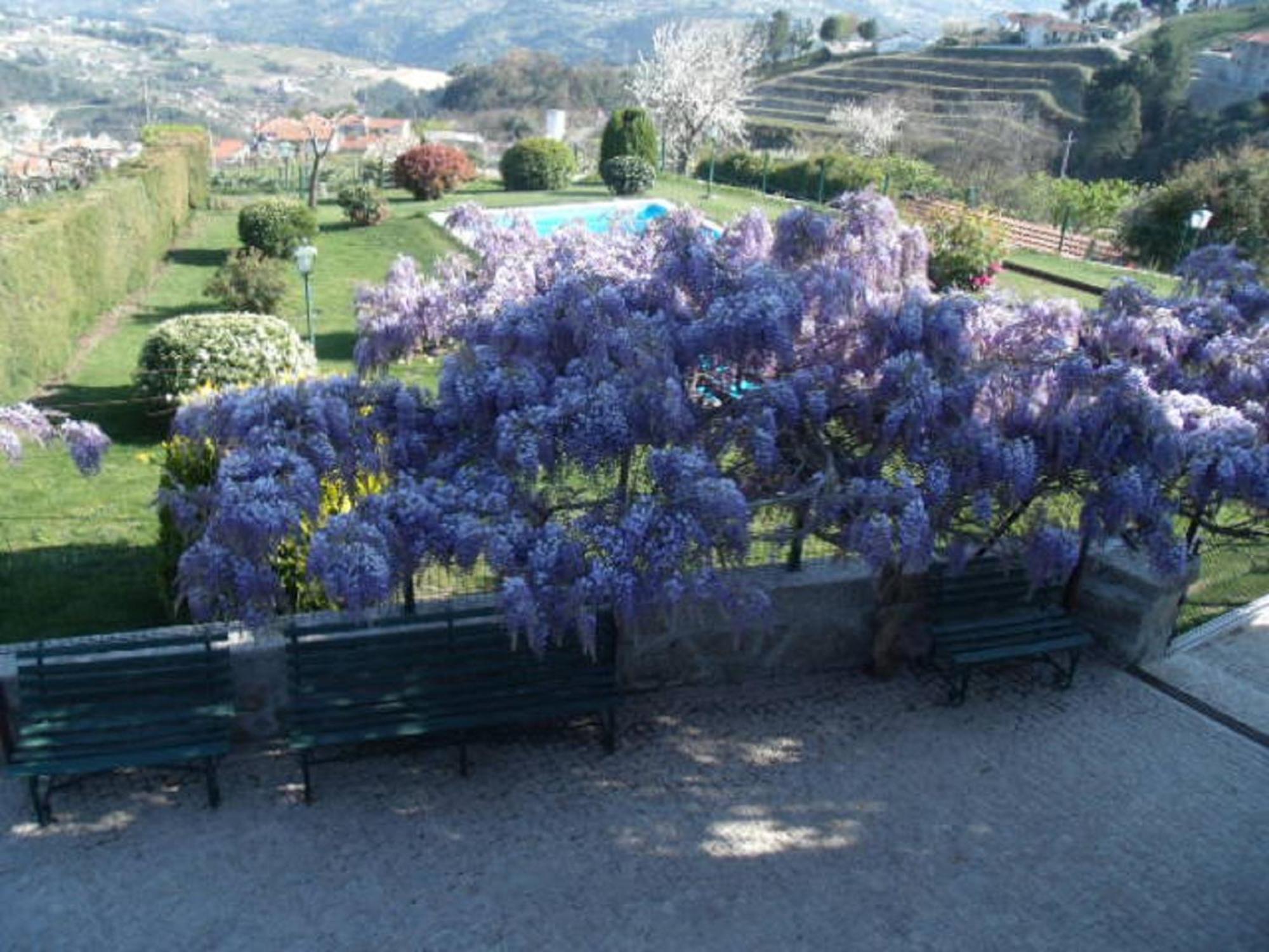 Penzion Quinta Da Casa Grande Pinheiro Baião Exteriér fotografie