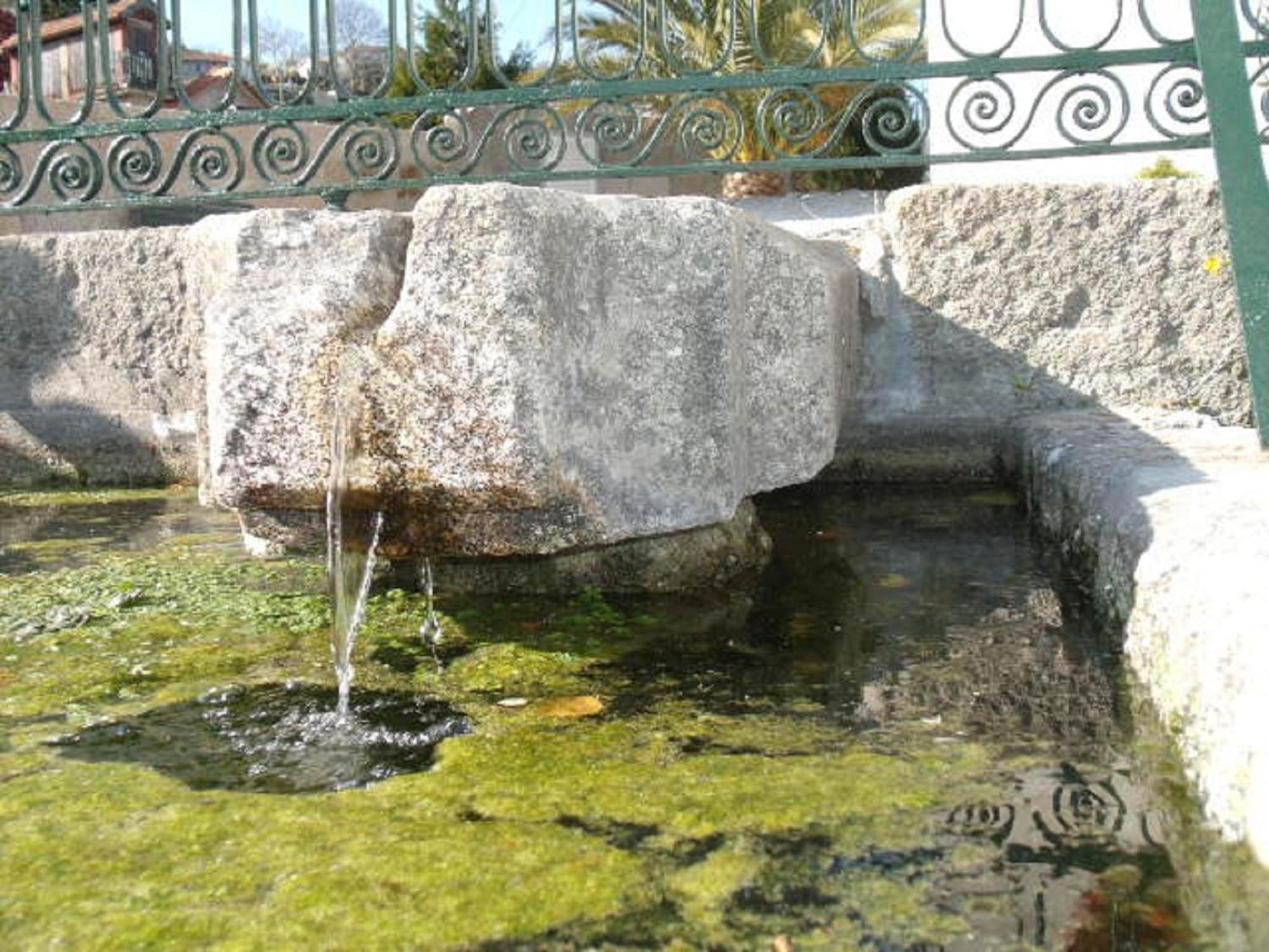 Penzion Quinta Da Casa Grande Pinheiro Baião Exteriér fotografie