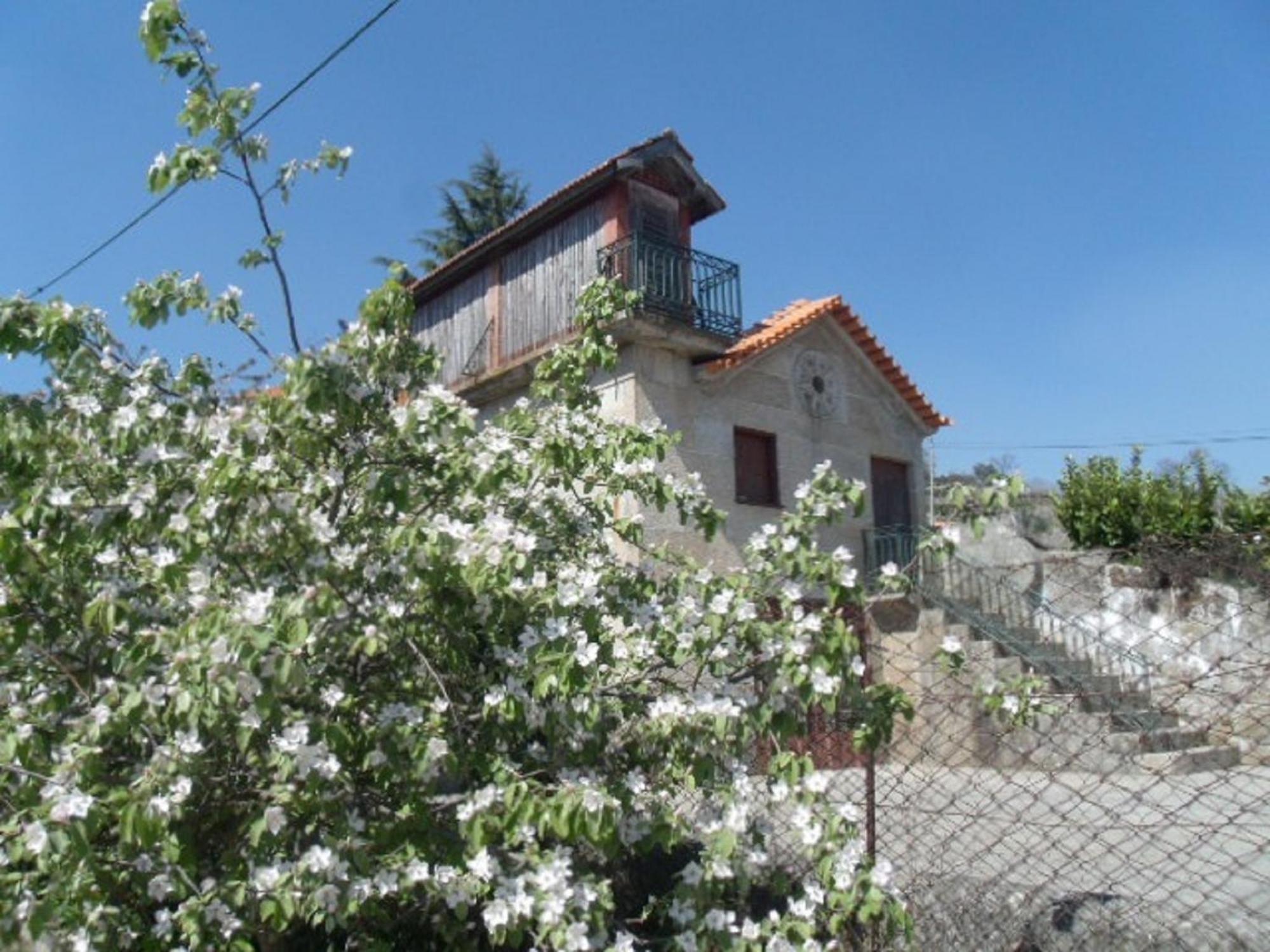 Penzion Quinta Da Casa Grande Pinheiro Baião Exteriér fotografie